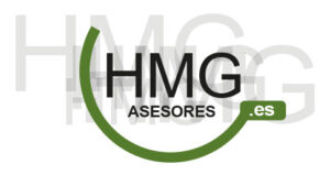 Logotipo de HMG Asesores